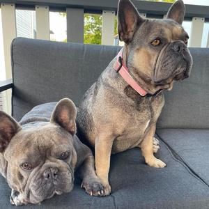 Meet your Posher, Brioni